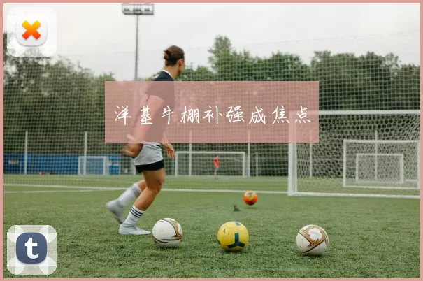 洋基牛棚补强成焦点