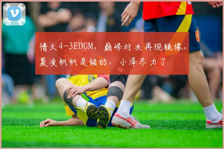 情久4-3EDGM，巅峰对决再现镜像，夏凌帆帆是错的，小泽尽力了