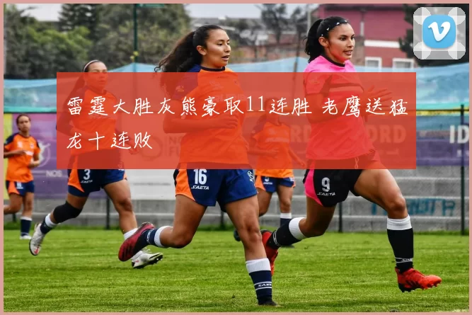 雷霆大胜灰熊豪取11连胜 老鹰送猛龙十连败