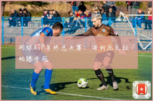 网球ATP年终总决赛：海利厄瓦拉／帕滕夺冠