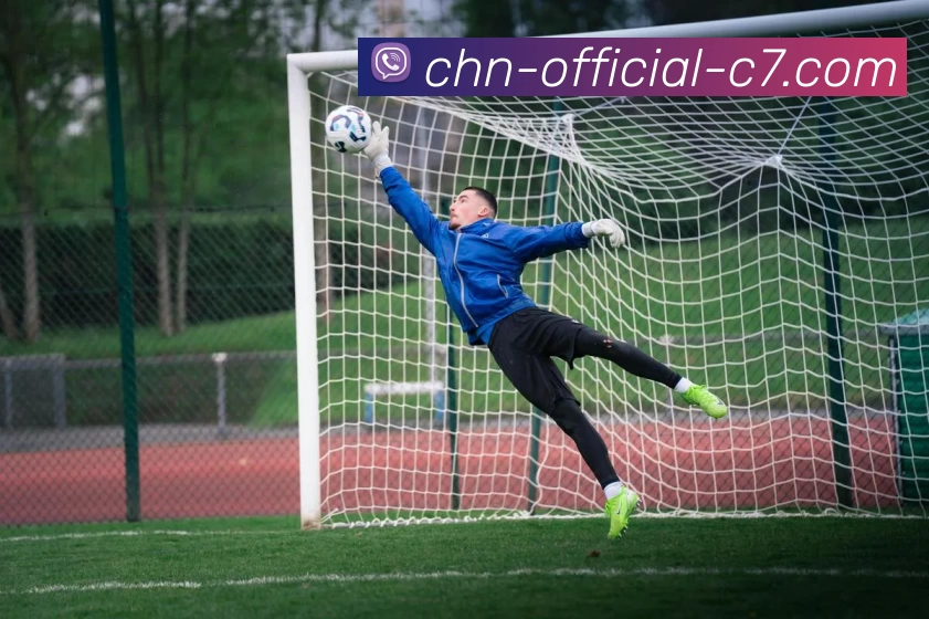 App Interface Preview